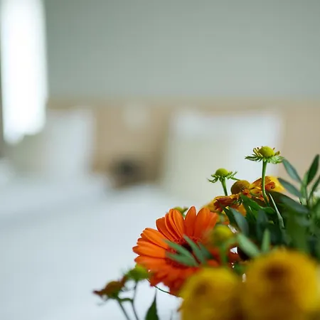 Couette-café Abdeshof Middelkerke